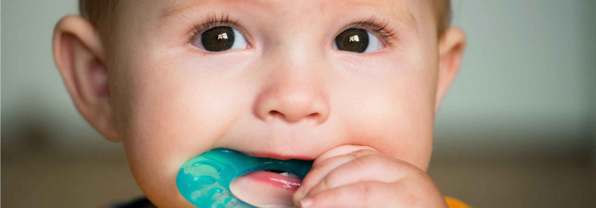 Baby boy with brown eyes and hair teething on ring toy.
