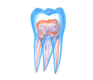 Endodontic-Treatment