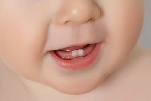 close-up Baby mouth with two rises teeth