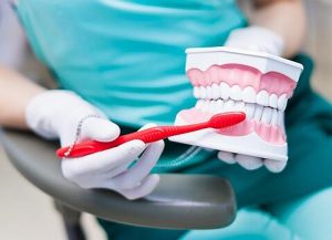 Dentist hold a denture and a toothbrush.