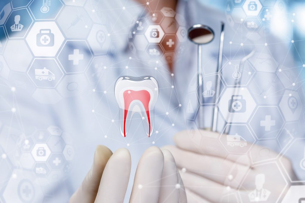 A dentist shows a tooth model on a blurred background.