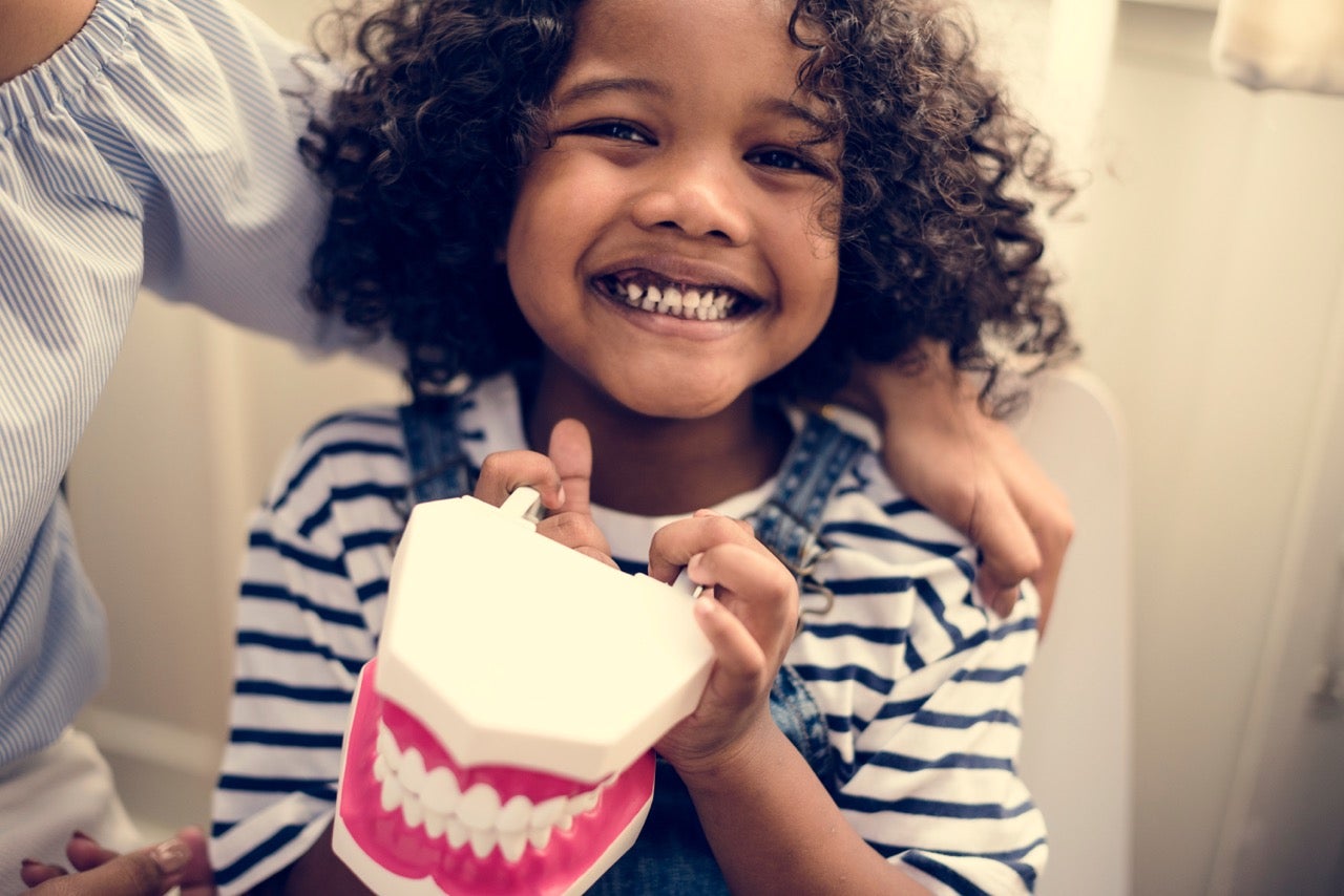 Cute little girl smiles as she holds a teeth model at the dentist’s office. 